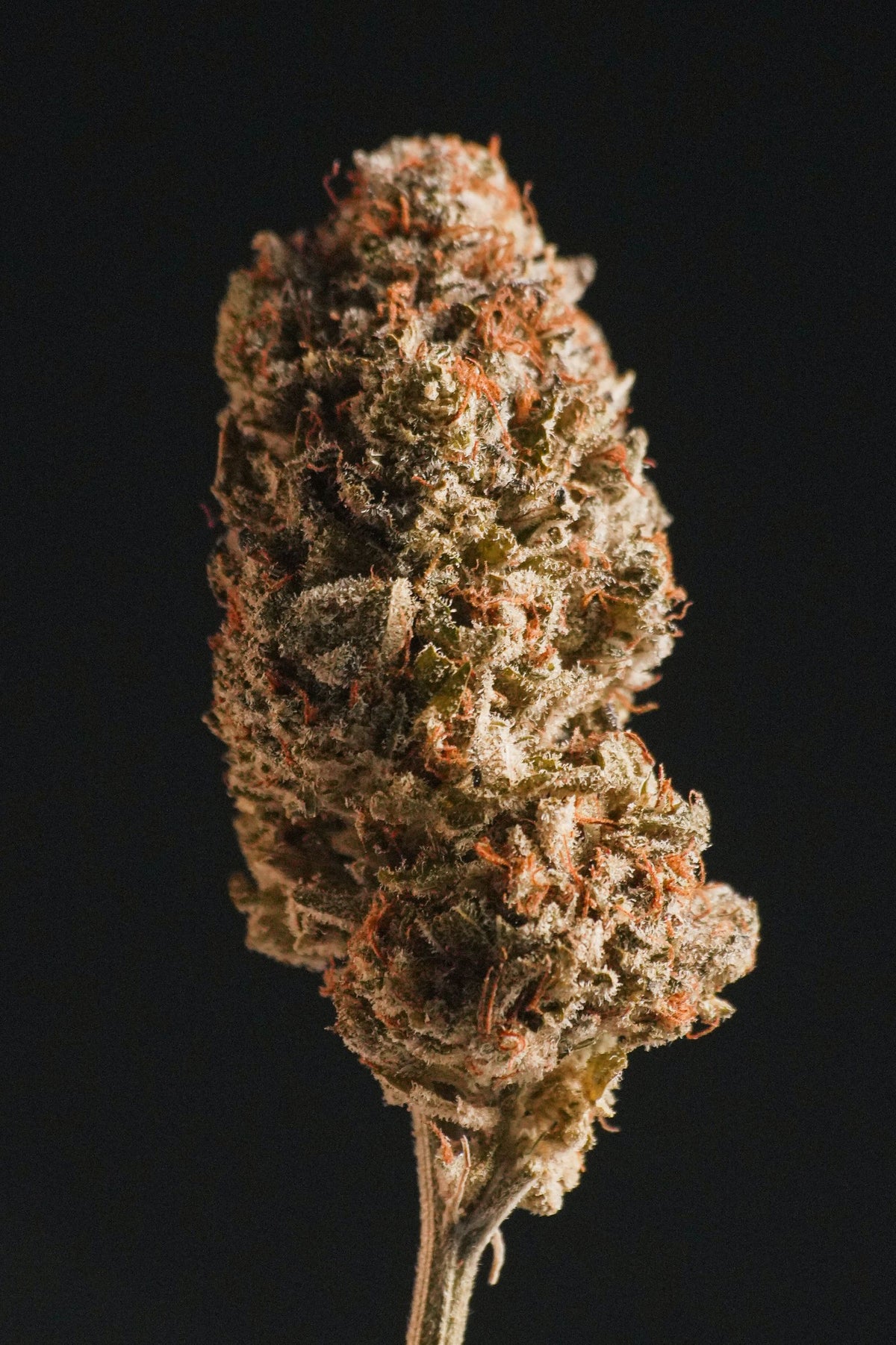 Gas