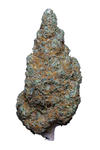 🍣TERIYAKI SAUCE – Big Bud – Indoor