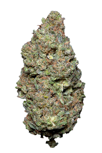 🍪GALACTIC CRUNCH  – Big Bud – Indoor