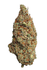 🌾GODFATHER OG  – Big Bud – Indoor Cali