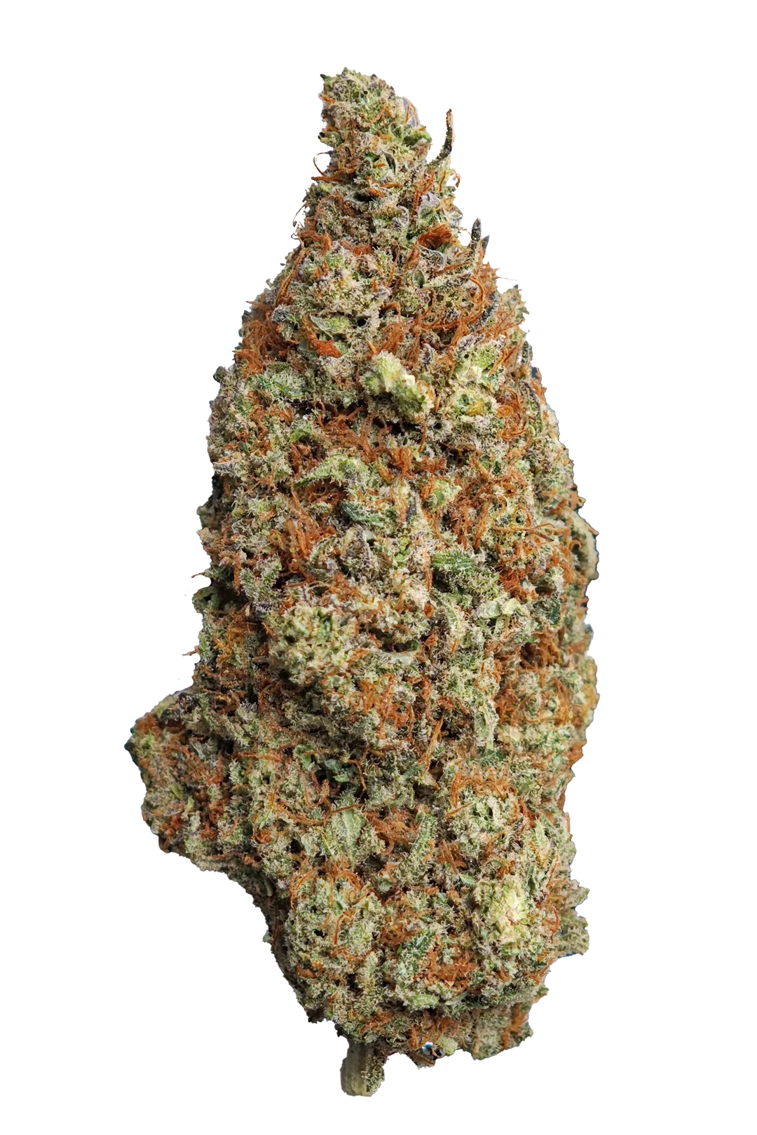 🌾GODFATHER OG  – Big Bud – Indoor Cali