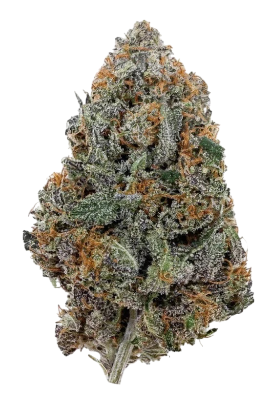 Red Runtz – Fleur CBD Indoor Cali