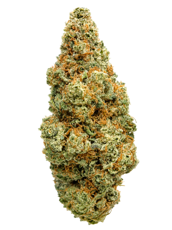 Solero Cream – Fleur CBD Indoor
