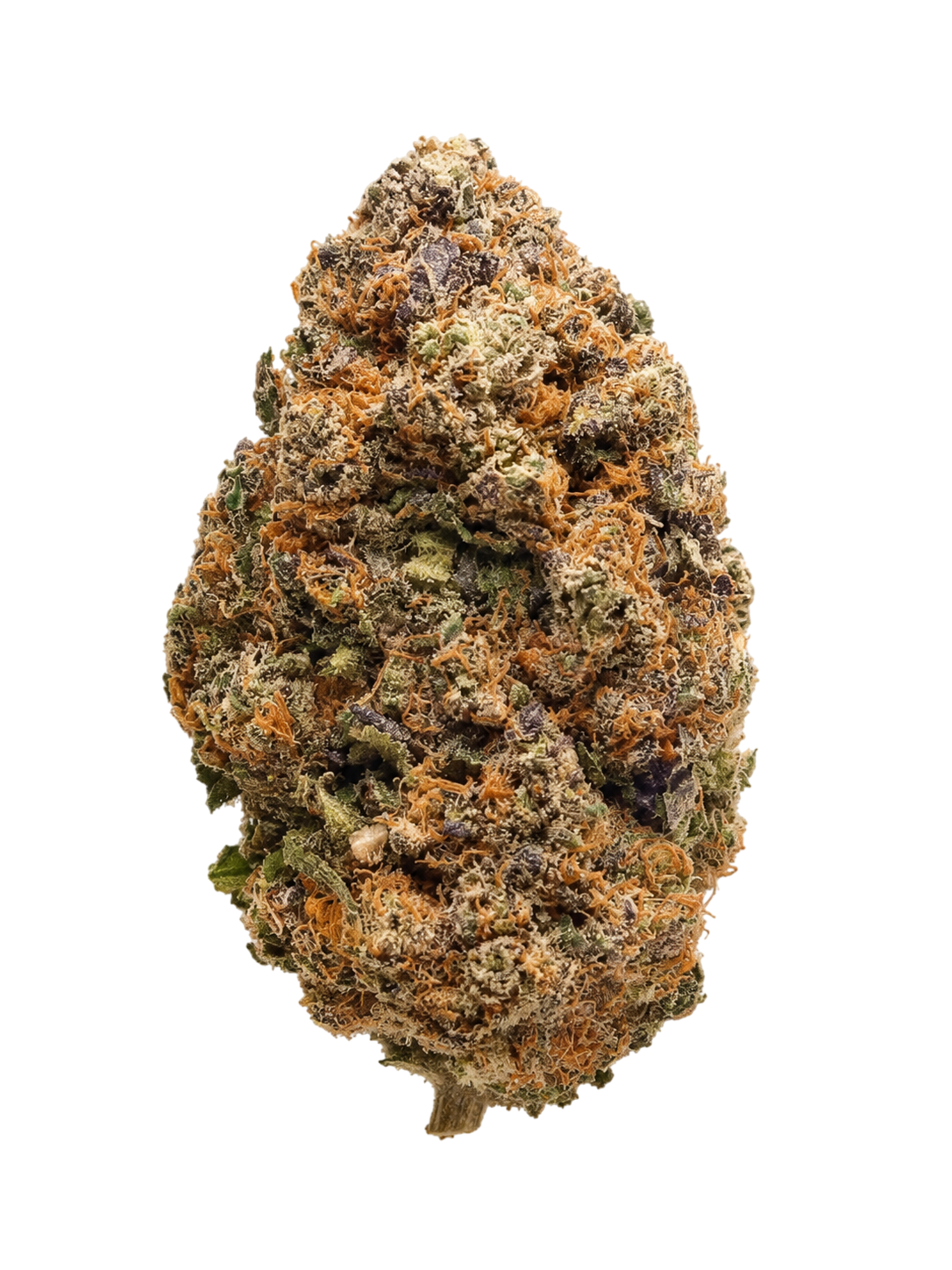 Tropical Dream – fleur CBD Indoor