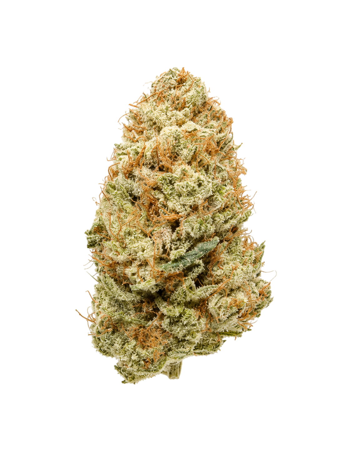 White Russian – fleur CBD Indoor