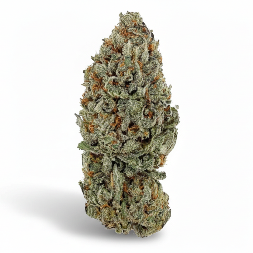 🧪 Sour Diesel – Big Bud – Indoor Cali