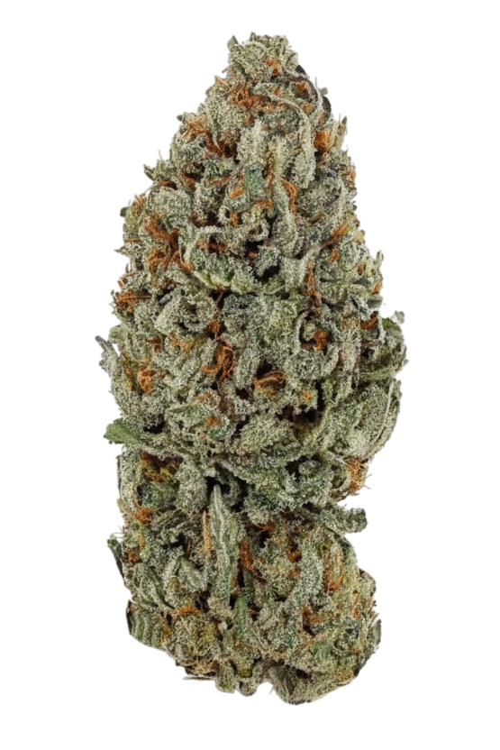 Sour Diesel – Fleur CBD Indoor Cali