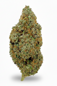 🌌Skywalker OG CBD – Big Bud – Indoor Cali