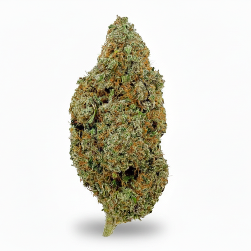 🌌 Skywalker OG CBD – Big Bud – Indoor Cali