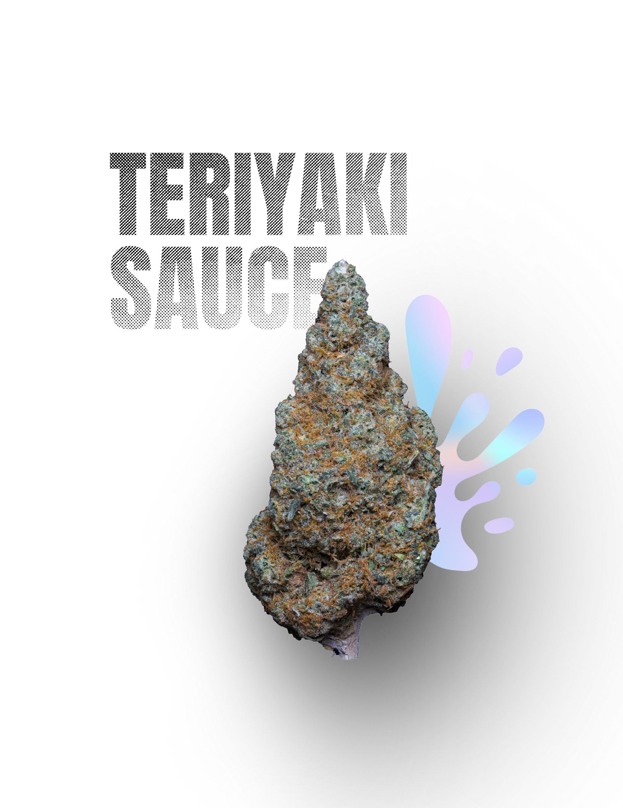 TERIYAKI SAUCE – Indoor