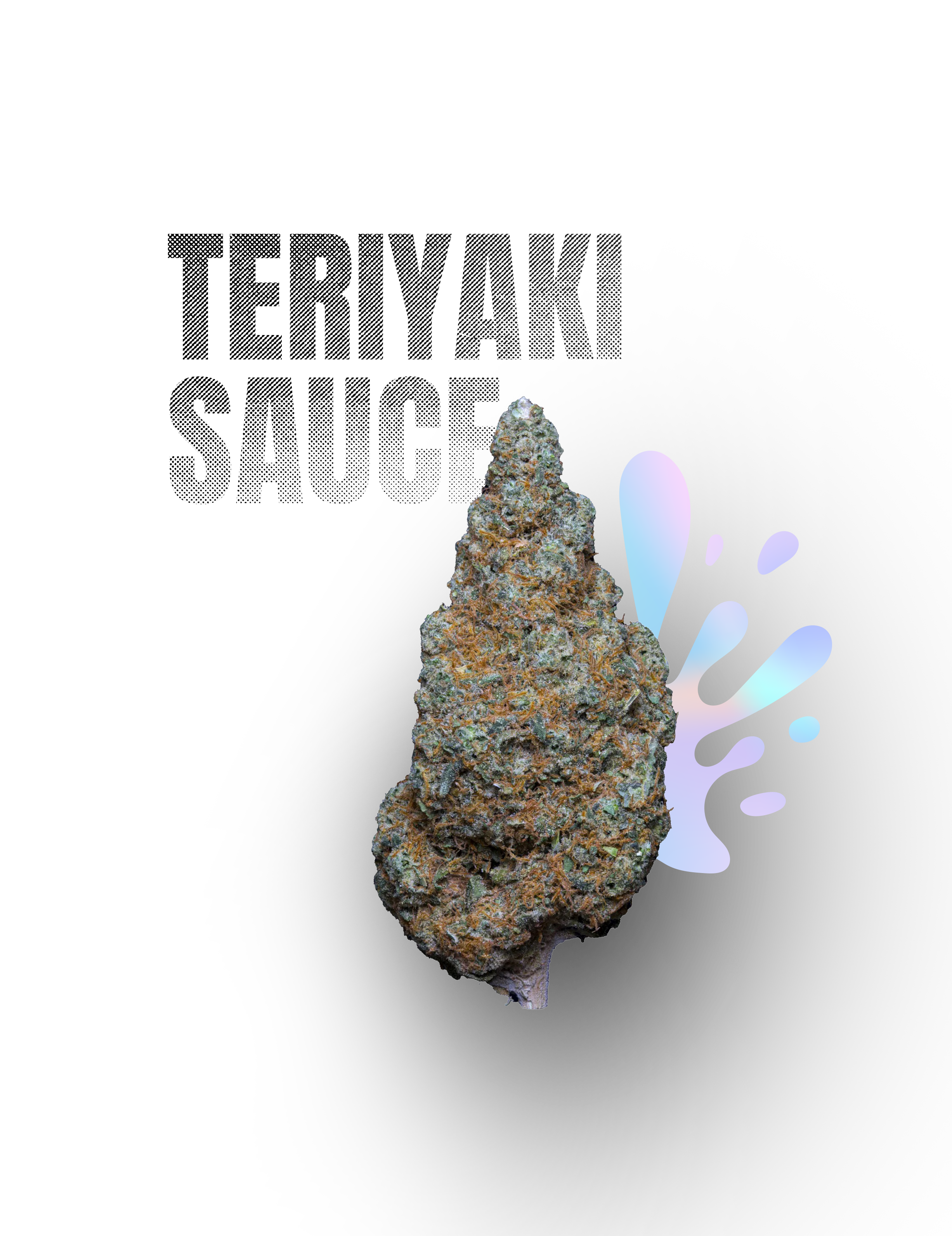 TERIYAKI SAUCE – Indoor